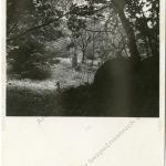 Fotografie místa uložení mrtvé schránky